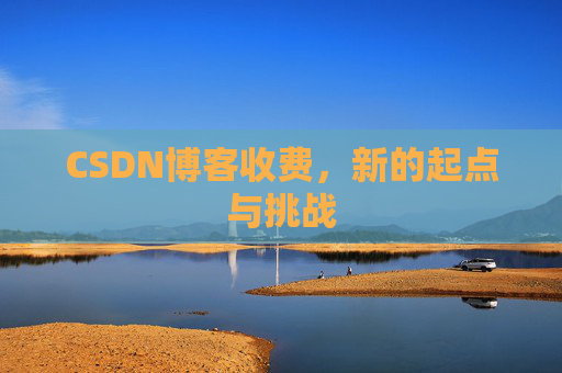 CSDN博客收费,新的起点与挑战 CSDN博客收费,新的起点与挑战